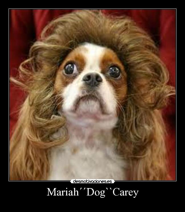 Mariah´´Dog``Carey -
