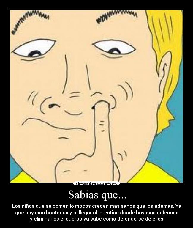 Sabias que... - Los niños que se comen lo mocos crecen mas sanos que los ademas. Ya
que hay mas bacterias y al llegar al intestino donde hay mas defensas
y eliminarlos el cuerpo ya sabe como defenderse de ellos