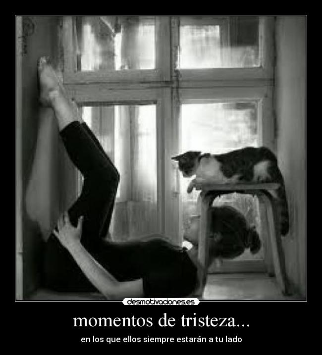 carteles tristeza momentos tristeza desmotivaciones
