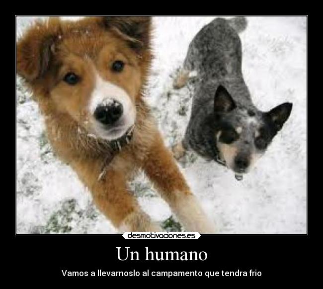 Un humano - 