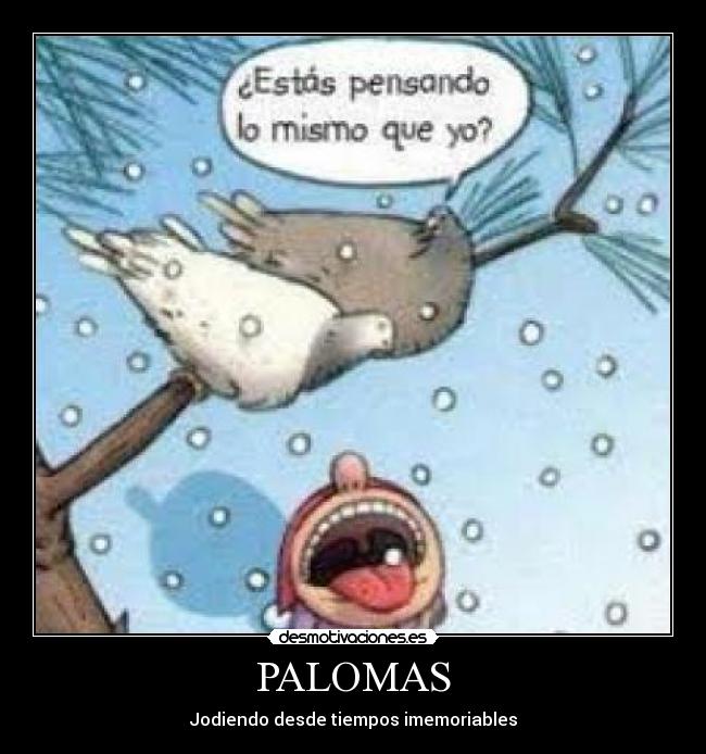 PALOMAS - Jodiendo desde tiempos imemoriables