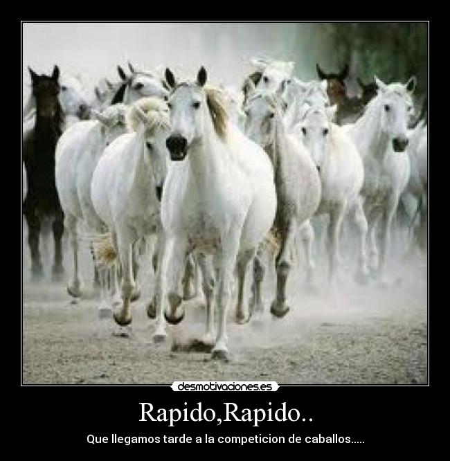 Rapido,Rapido.. -