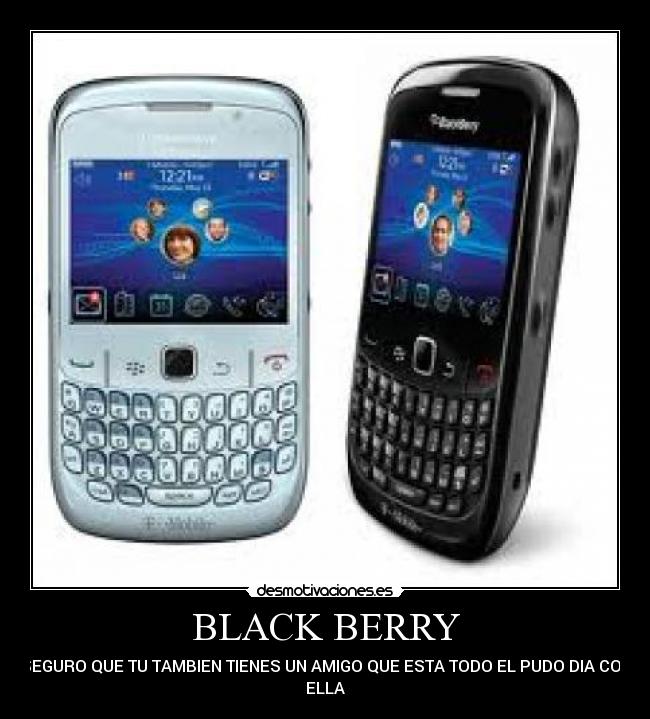 BLACK BERRY - 