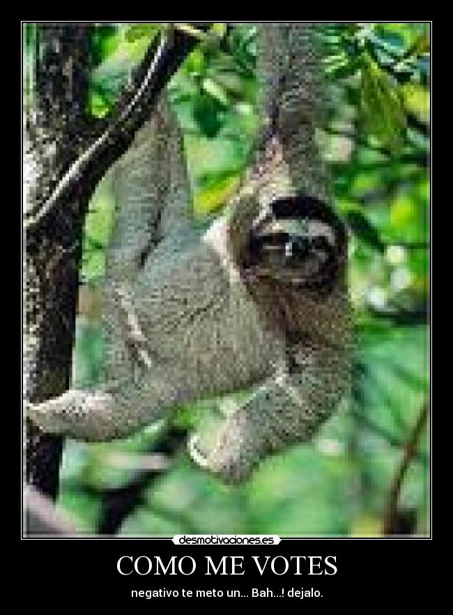 COMO ME VOTES - negativo te meto un... Bah...! dejalo.