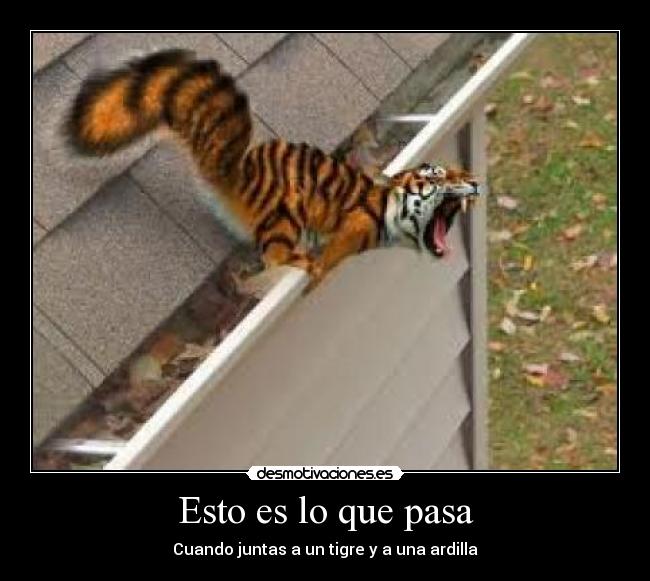 Esto es lo que pasa -