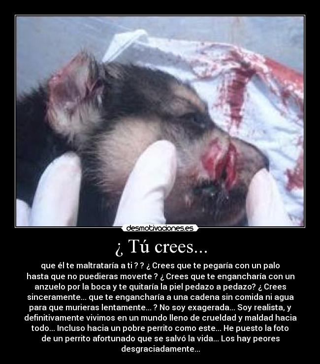 ¿ Tú crees... - 