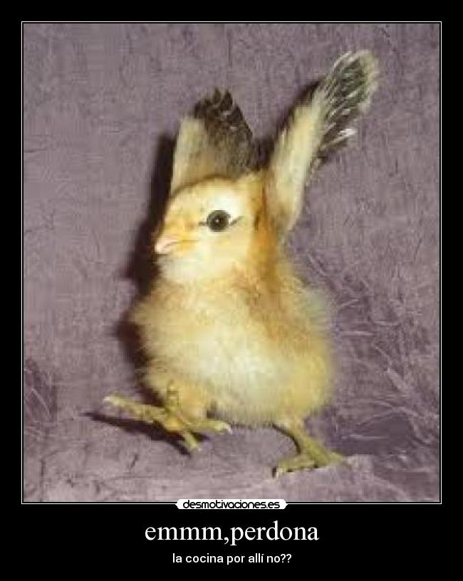 emmm,perdona - la cocina por allí no??