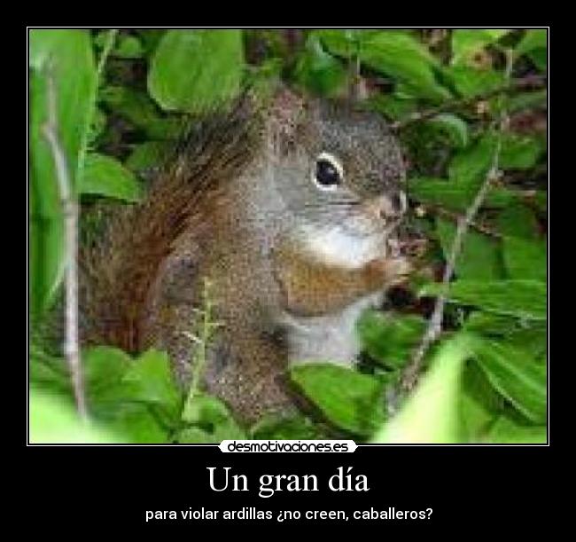 Un gran día - para violar ardillas ¿no creen, caballeros?