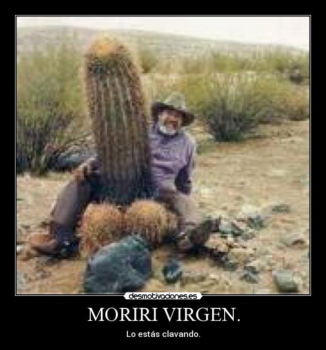 MORIRI VIRGEN. - Lo estás clavando.