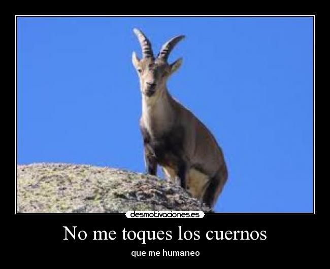 No me toques los cuernos - que me humaneo