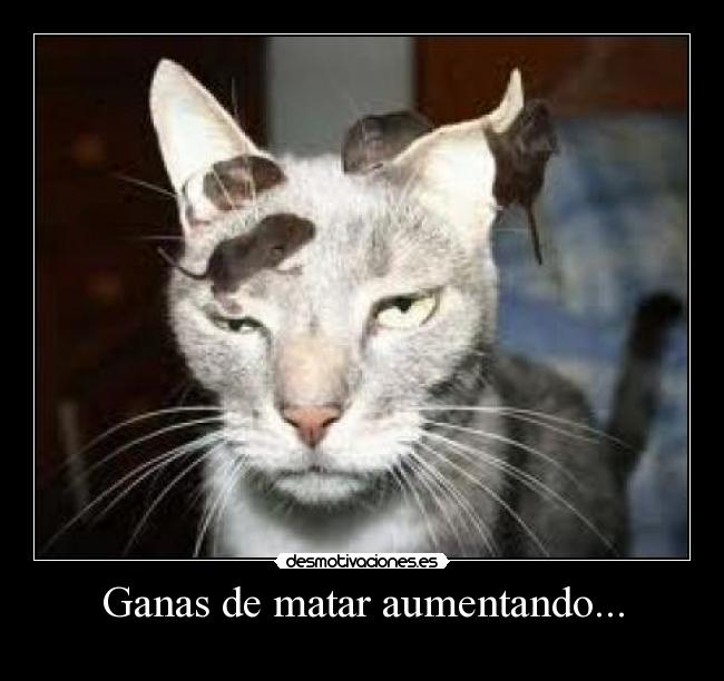 Ganas de matar aumentando... - 