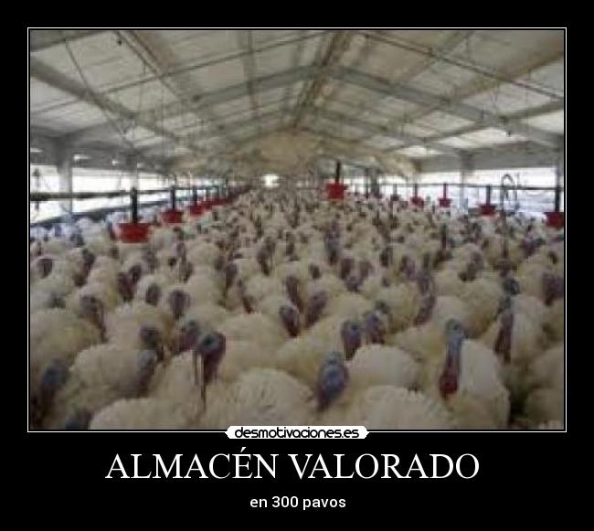 ALMACÉN VALORADO -