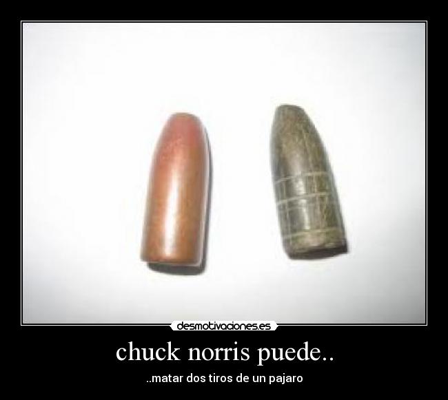 chuck norris puede.. - ..matar dos tiros de un pajaro