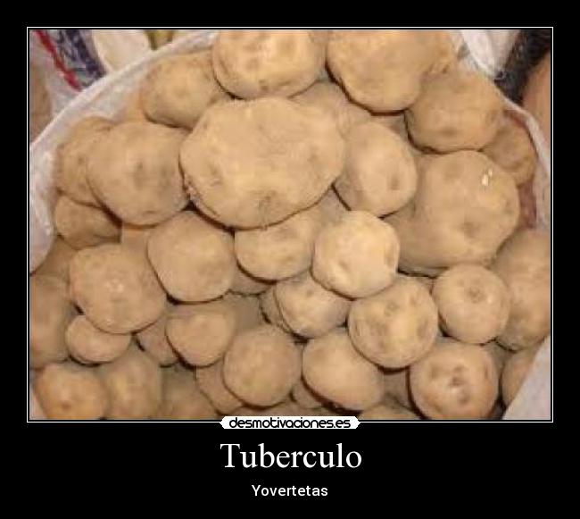 Tuberculo - 