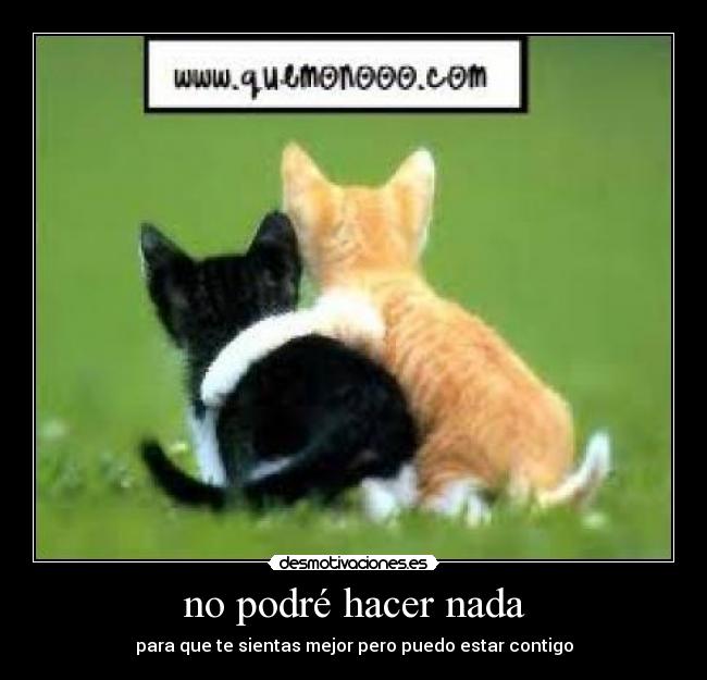 no podré hacer nada - 