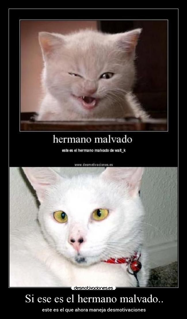 Si ese es el hermano malvado.. - este es el que ahora maneja desmotivaciones