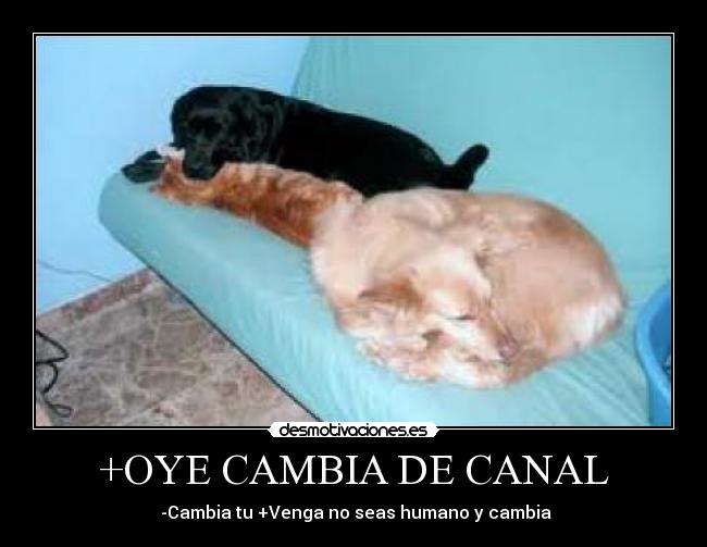 +OYE CAMBIA DE CANAL - 