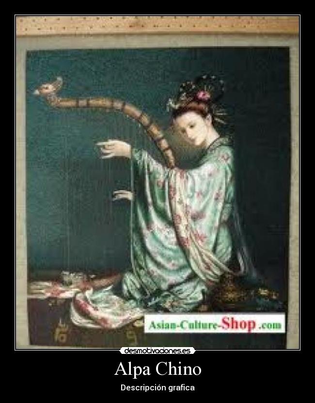 Alpa Chino - Descripción grafica