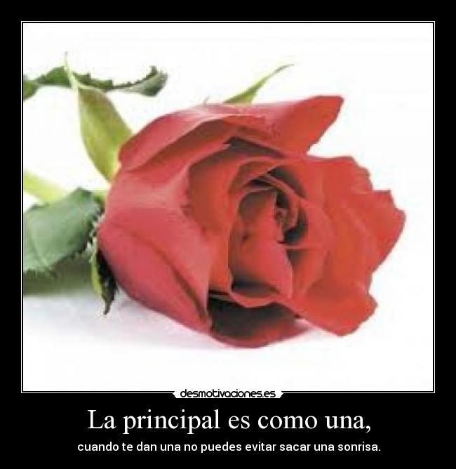 La principal es como una, - 