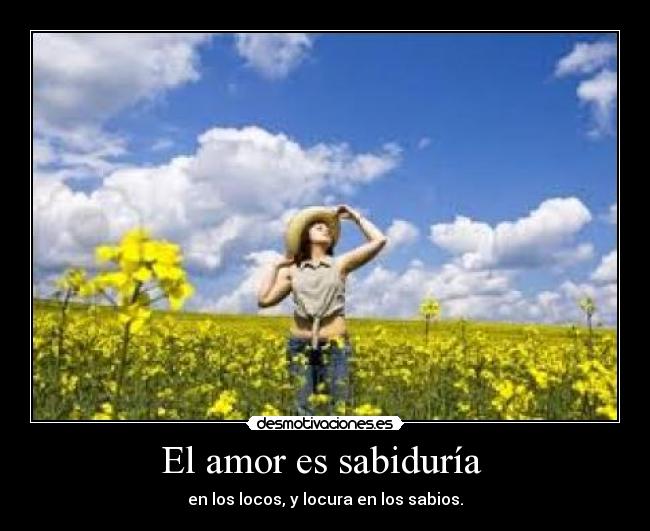 carteles amor amor desmotivaciones