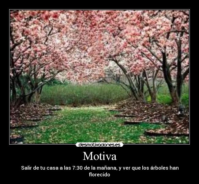 Motiva - Salir de tu casa a las 7:30 de la mañana, y ver que los árboles han florecido