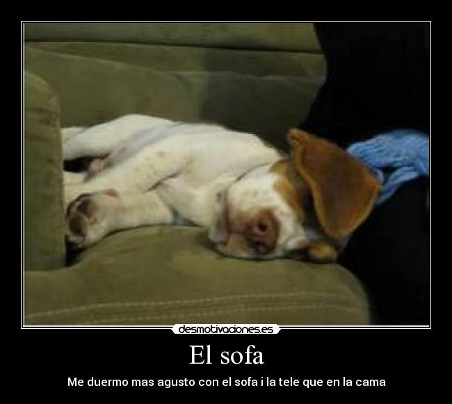 El sofa - Me duermo mas agusto con el sofa i la tele que en la cama