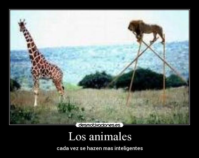 Los animales -