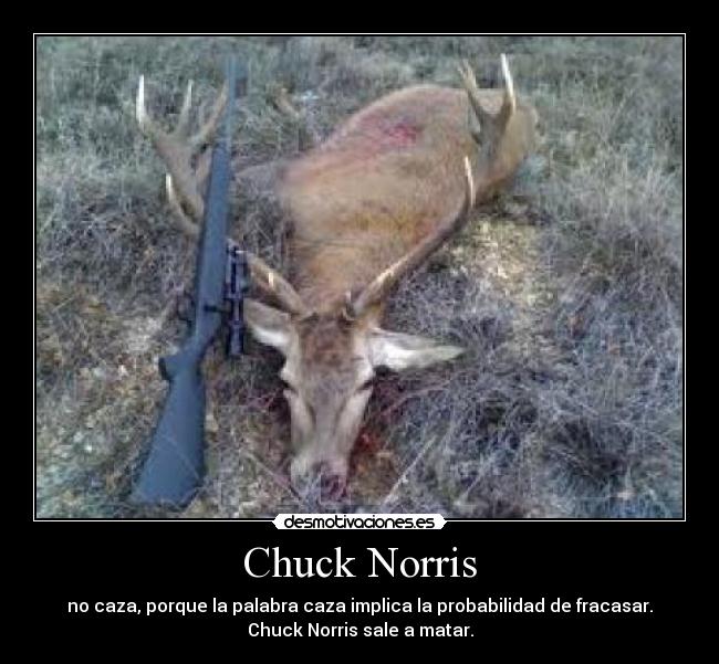 Chuck Norris -