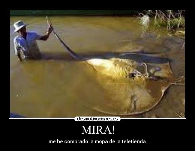 MIRA! - me he comprado la mopa de la teletienda.