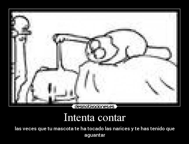 Intenta contar - las veces que tu mascota te ha tocado las narices y te has tenido que aguantar