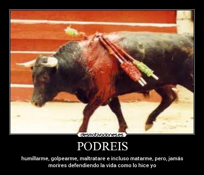 PODREIS - 