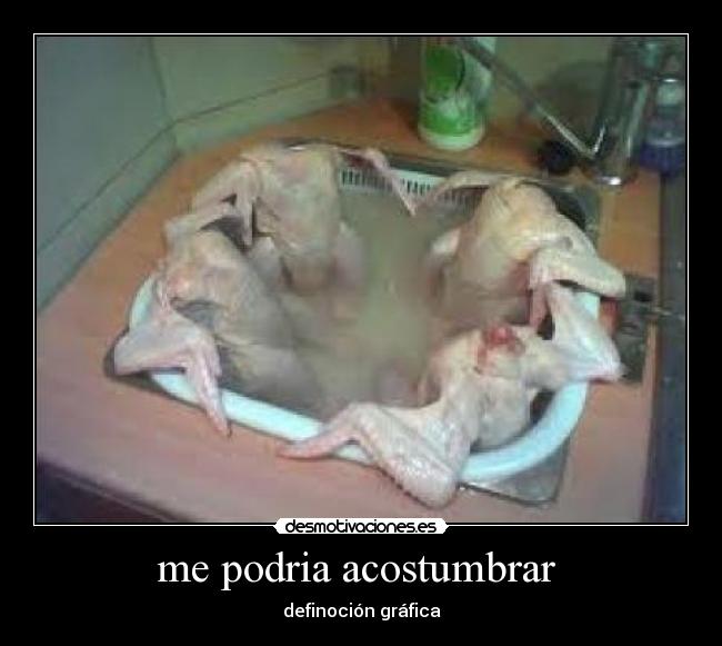 me podria acostumbrar  - 