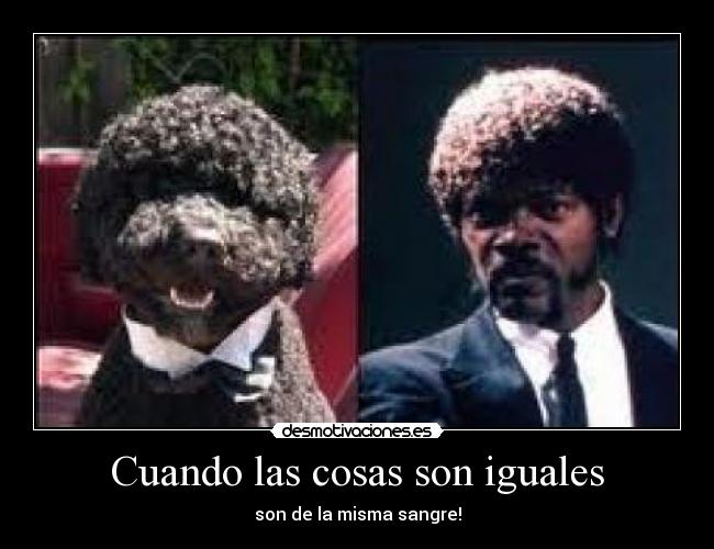 carteles alba los santos desmotivaciones