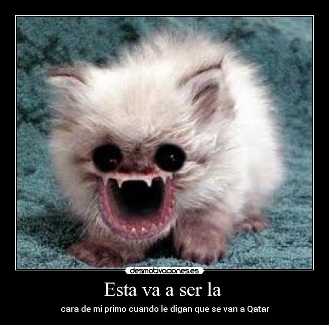Esta va a ser la  - cara de mi primo cuando le digan que se van a Qatar
