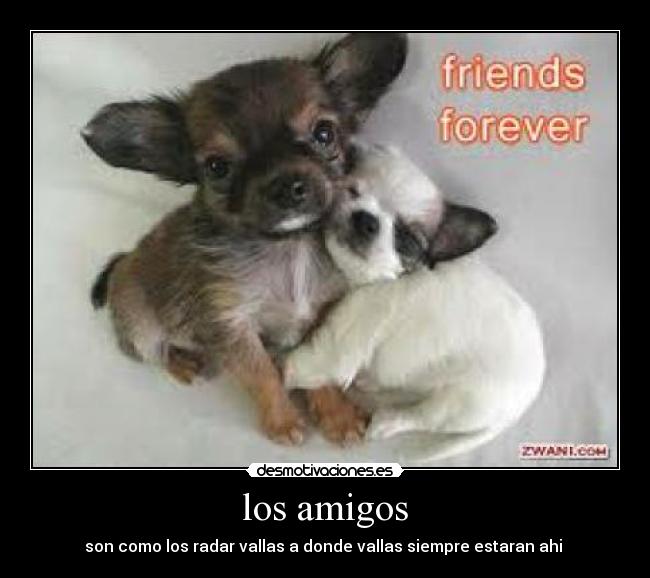 los amigos - 