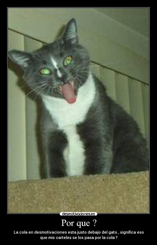 Por que ? - La cola en desmotivaciones esta justo debajo del gato , significa eso
que mis carteles se los pasa por la cola ?
