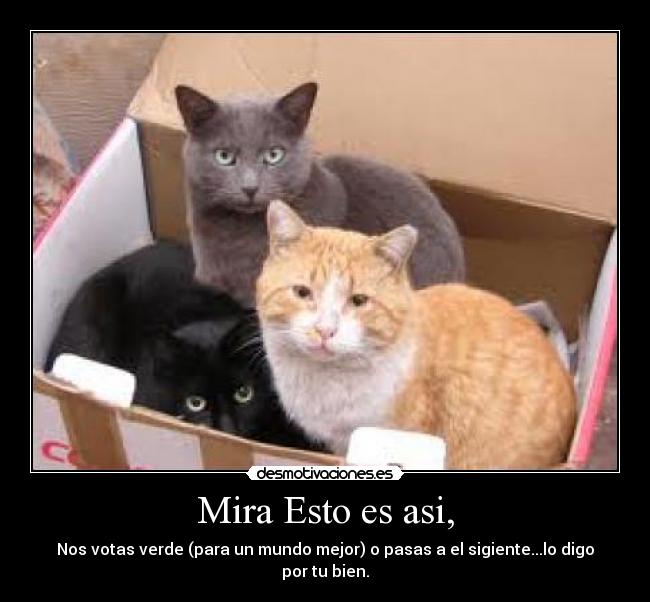 Mira Esto es asi, - 