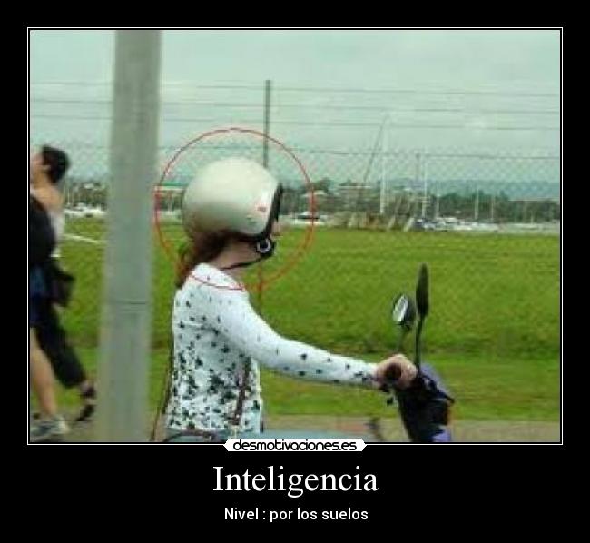 Inteligencia - Nivel : por los suelos