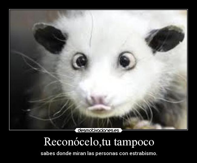 Reconócelo,tu tampoco -
