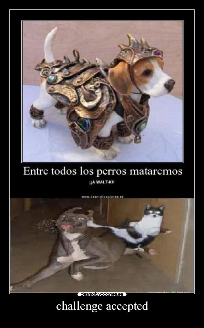 challenge accepted -