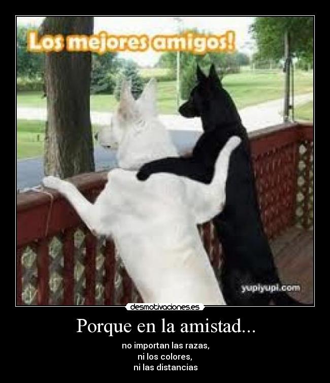 Porque en la amistad... - 