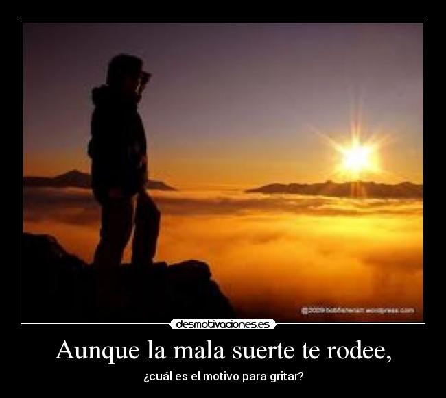 carteles mala suerte gritar desmotivaciones