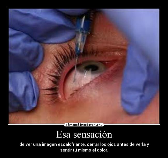 Esa sensación - de ver una imagen escalofriante, cerrar los ojos antes de verla y
sentir tú mismo el dolor.