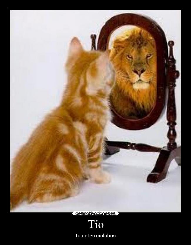 Tío - tu antes molabas