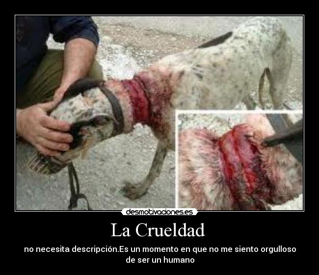 La Crueldad  - no necesita descripción.Es un momento en que no me siento orgulloso
de ser un humano