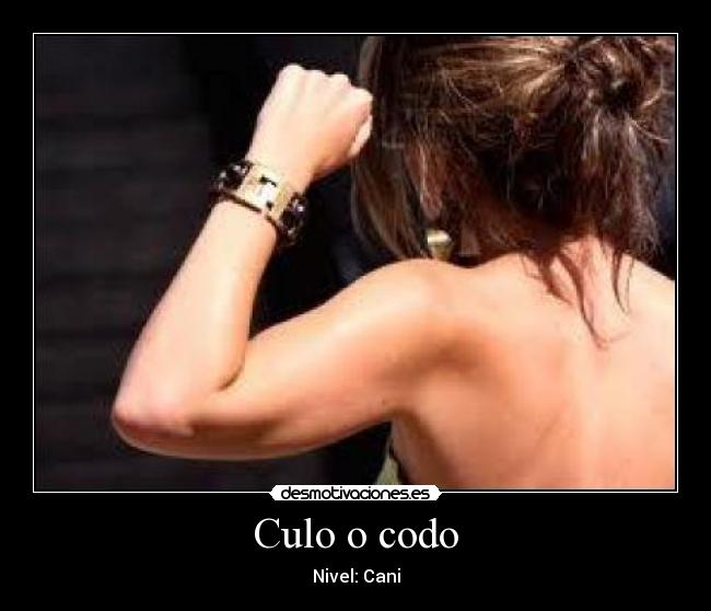 carteles culo codo desmotivaciones