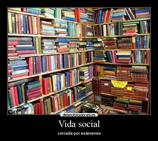 Vida social - 