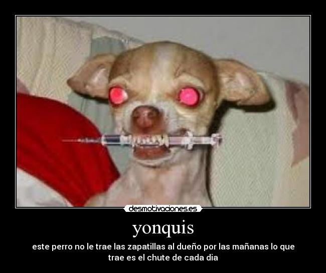 yonquis - 