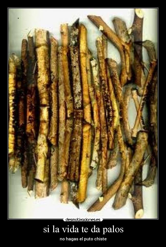 si la vida te da palos - no hagas el puto chiste