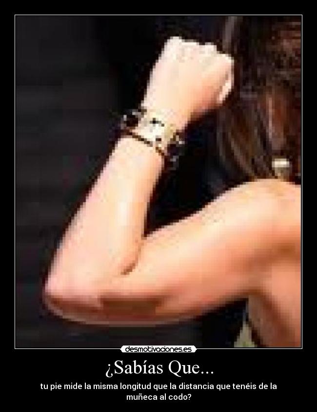 ¿Sabías Que... - tu pie mide la misma longitud que la distancia que tenéis de la muñeca al codo?